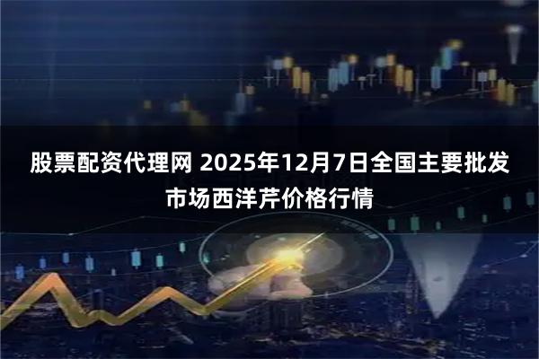 股票配资代理网 2025年12月7日全国主要批发市场西洋芹价格行情