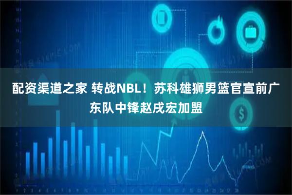 配资渠道之家 转战NBL！苏科雄狮男篮官宣前广东队中锋赵戌宏加盟